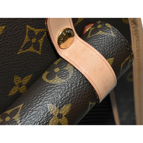 Louis Vuitton Dog Bag Pet Carrier Monogram Brown - Picture 13 of 16